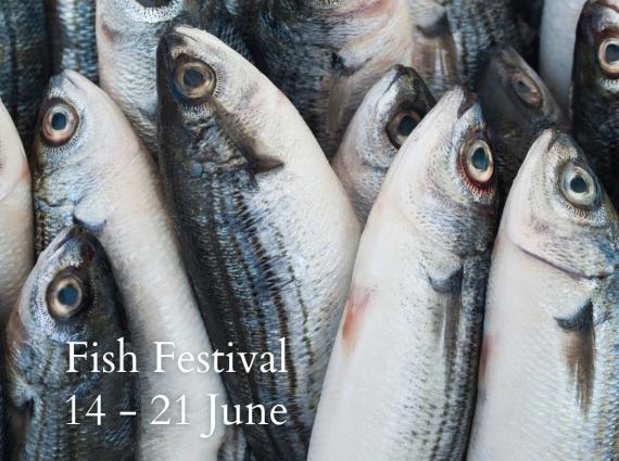 Fish Festival