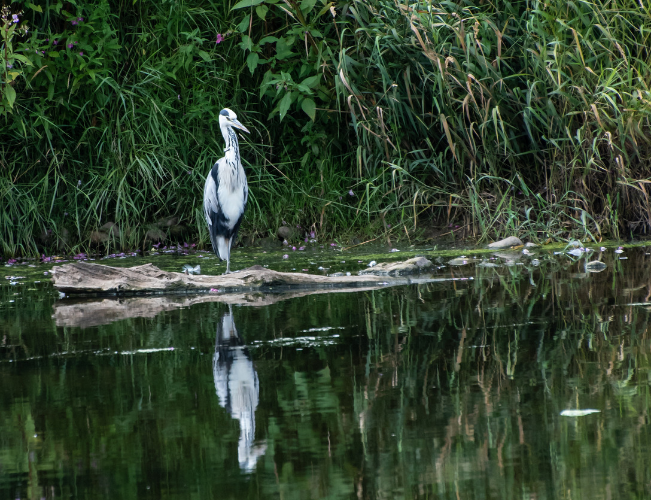 Beautiful Great Yarmouth Walks | Finding the Norfolk Coast & Broads