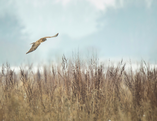 The Best of Norfolk - Essential Beaches & Broads Near Great Yarmouth